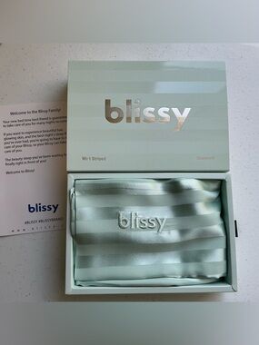 Blissy 100% Silk 22 Momme STANDARD Pillowcase Mint Striped New